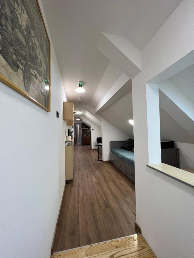 Main Square Apartment 贝尔格莱德 外观 照片